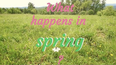 What happens in spring?