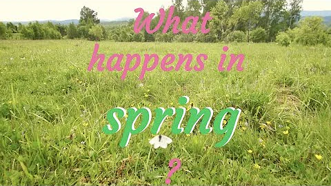 What happens in spring? - DayDayNews
