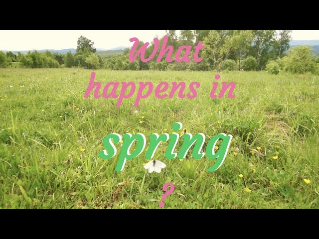 What Happens in Spring - English To Czech
