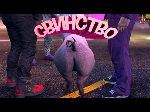 Видео: Свинство ( GTA RP )