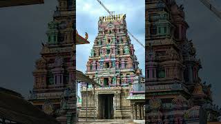 INSIDE HINDU TEMPLES #culture #religion #shorts