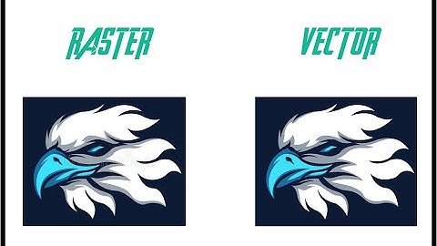 Creating a Eagle Raster Logo into the Vector in Adobe Illustrator cc 2019