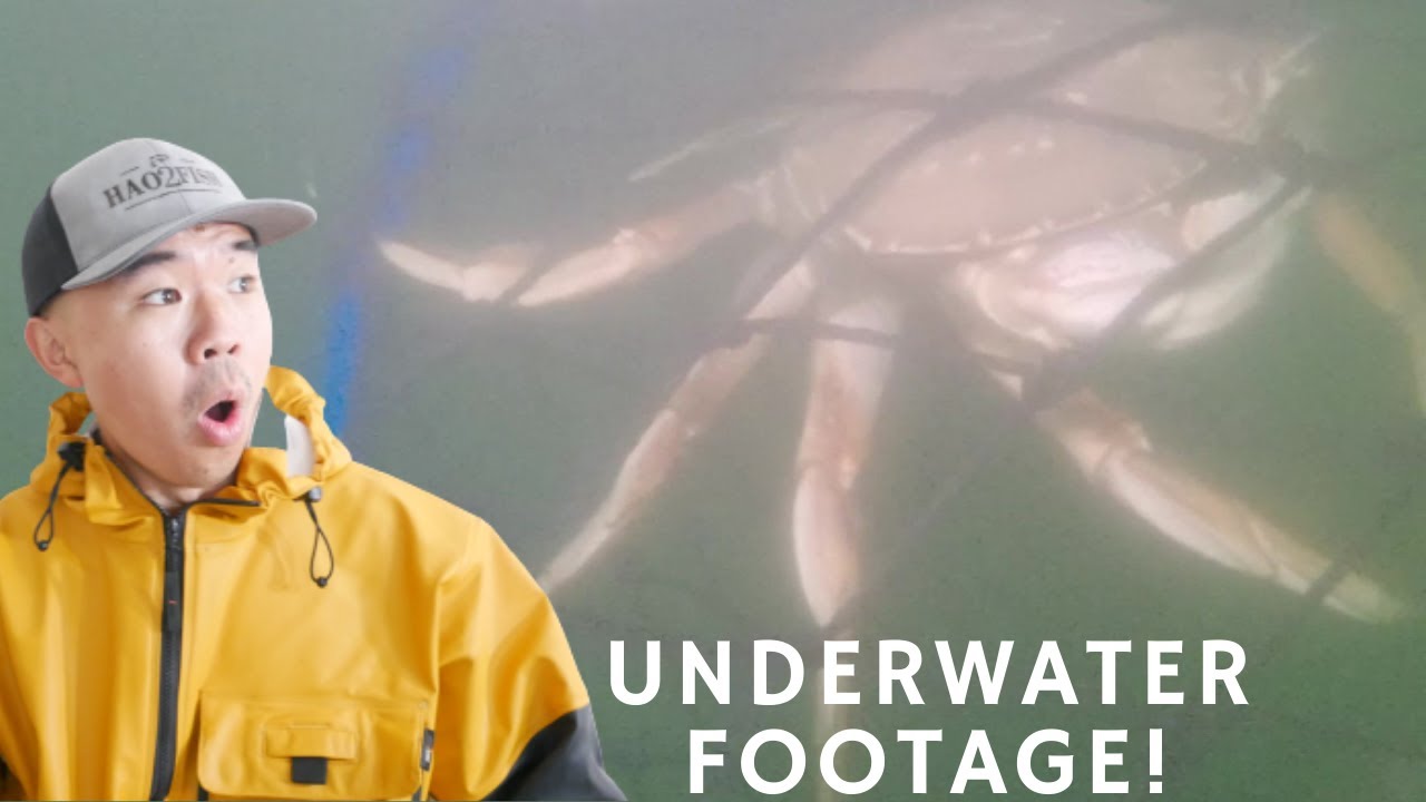 🦀Dungeness Crab Fishing California Part 2 Underwater Camera NEW