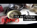 УХА ИЗ ГОЛОВЫ ТАЙМЕНЯ. ТАЁЖНАЯ КУХНЯ.