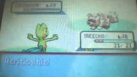 Pokemon Ruby Walkthrough part 2 getting starter