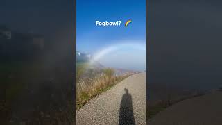 I’ve never witnessed this phenomenon before!?  Fog/rainbow….fogbow!? 🌈 #rainbow #weather #lakeerie