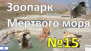 Зоопарк возле Мертвого моря, Заброшенная база отдыха, грязи, Израиль. Часть 15