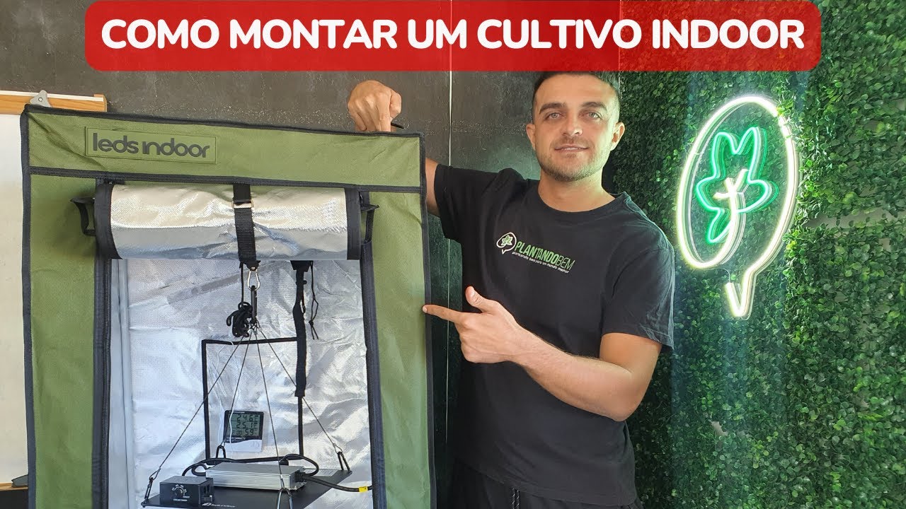 Como montar um cultivo indoor básico