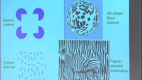 Stephen Grossberg: Neural Dynamics of Attentive Object Recognition, Scene Understanding, and Deci...