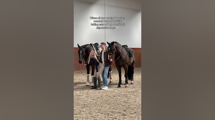Sorry Finn! But it is what it is 🤷🏼‍♀️🐴🐴 #equestrian #horse #horseriding