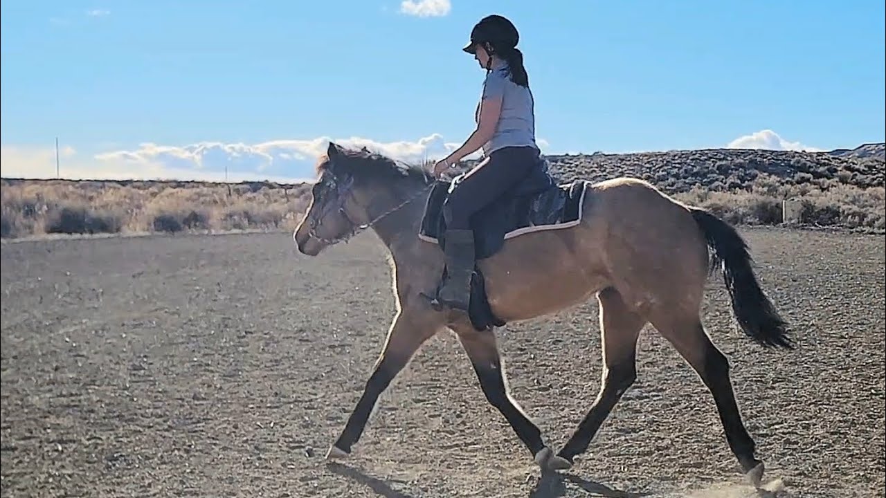 River - 3rd Ride Under Saddle - February 2026
