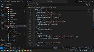 Allow the React Native Expo app to access local network IPs or local network APIs