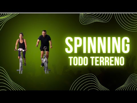 spinfin casino review