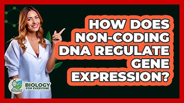 How Does Non-coding DNA Regulate Gene Expression? - Biology For Everyone
