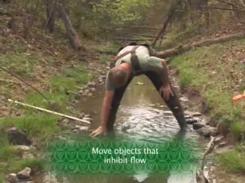 S4 M4 Reconnaisance Surveys for Stream Discharge.wmv