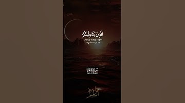 وَقَاتِلُوا فِي سَبِيلِ اللَّهِ الَّذِينَ يُقَاتِلُونَكُمْ... سورة البقرة للشيخ محمد صديق المنشاوي