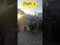 papua#papua #shorts