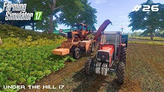 Sugar beet harvest | Under the Hill 17 | Farming Simulator 2017 | Episode 27 screenshot 1