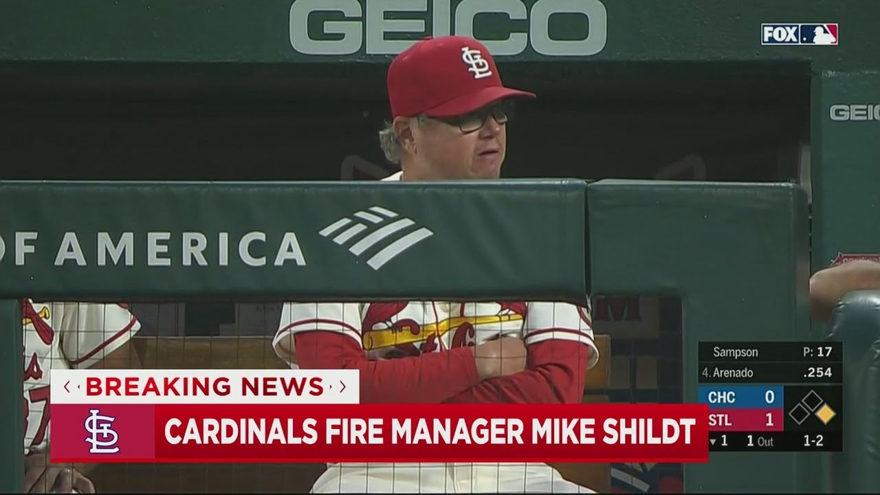 St. Louis Cardinals John Mozeliak Discusses Cardinals Parting Ways With  Manager Mike Shildt 