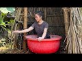 Harvest papayas and cucumbers to sell at the market make a bathroom out of bamboo