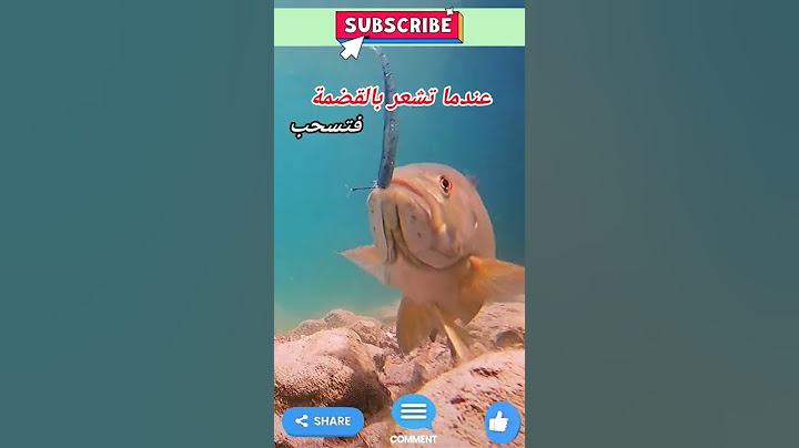 كيف يقظم السمك الطعم