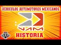 HISTORIA DE VAM