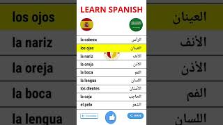 كلمات إسبانية شائعة/ جسم الإنسان تعلم_اللغة_الاسبانية learning learnspanish aprenderespañol