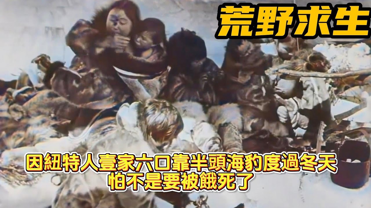 紀錄片：因紐特人壹家六口靠半頭海豹度過冬天，怕不是要被餓死了！