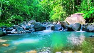 Forest River Water Flow Sounds, Mountain Stream, Sleep