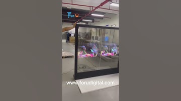 transparent OLED digital signage display