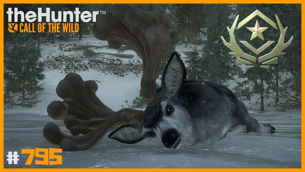 MI PRIMER CIERVO MULO MAGNÍFICO (GREAT ONE) - ASKIY RIDGE | 🦌theHunter: CotW 