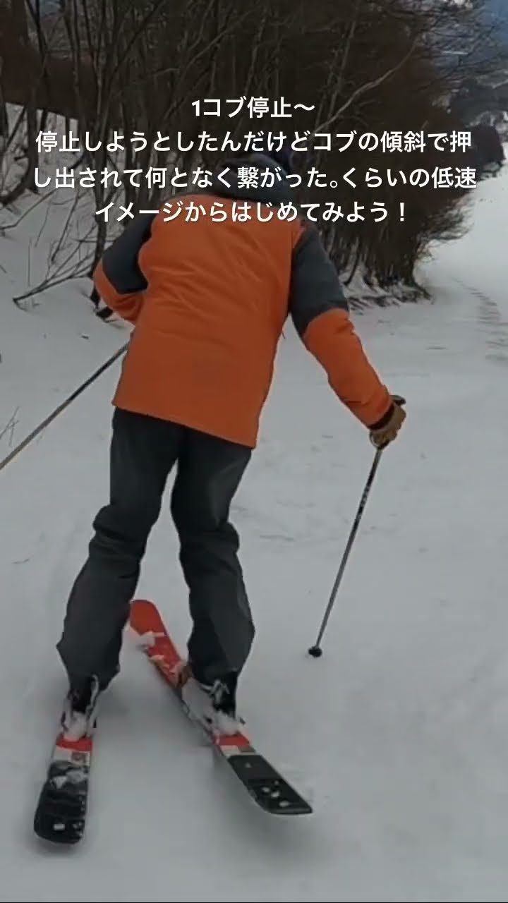 初めてでもできる！！コブ斜面の滑り方動画マニュアル　小保内祐一　DVD５枚 初めてでもできる！！コブ斜面の滑り方動画マニュアル 小保内