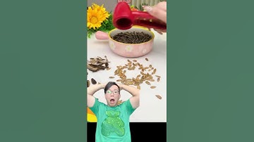 Máy tách hạt hướng dương #shorts