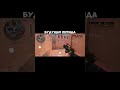 будущая легенда😉 #standoff2 #рек #рекомендации #kai #1447 #so2 #стандофф2 #вантапы #стэндофф2