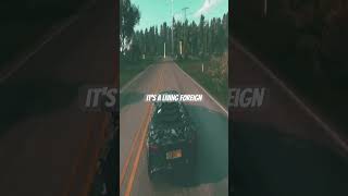 #forzahorizon #bestracinggame #forzahorizon5