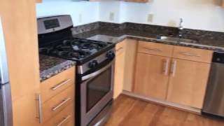 Vista on Courthouse Apartments - Arlington - 1 Bedroom A5 FP