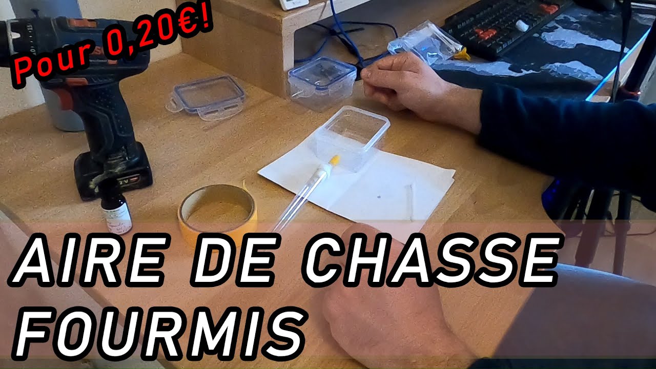 Comment Faire Un Anti-évasion Maison Pour Fourmis