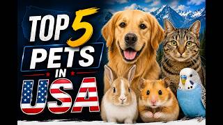 Top 5 Most Popular Pets in the USA 🇺🇸 | Amazing & Cute American Pets 2026