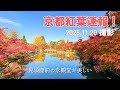 【京都紅葉速報2025】11.20撮影｜永観堂の紅葉〈見頃直前〉南禅寺三門・水路閣