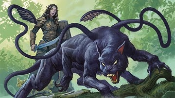 Dungeon of the Mad Mage. Episode 35: Onwood and Downwood?  (Dungeons and Dragons Gameplay)