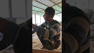 daraj bana raha h ###