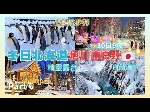 【日本旅遊】北海道旭川美瑛富良野 旭山動物園 企鵝散步秀 白鬚瀑布 新富良野王子酒店 精靈森林露台 富良野歡寒村 溫泉 富良野滑雪場 Hokkaido Asahikawa Biei Furan