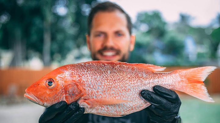 Fresh Caught Whole Red Snapper On The Grill