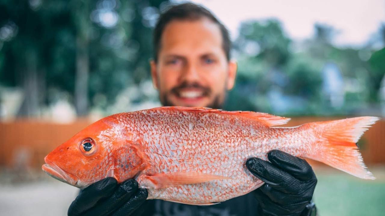 Grilled whole red snapper - I Love Meat - Grilling 101