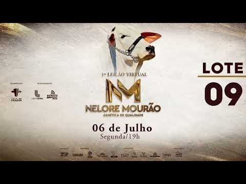 LOTE 09   MOR 129