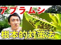 アブラムシが勝手に減る!〇〇を増やして根本的な害虫対策を!【自然農】【害虫】