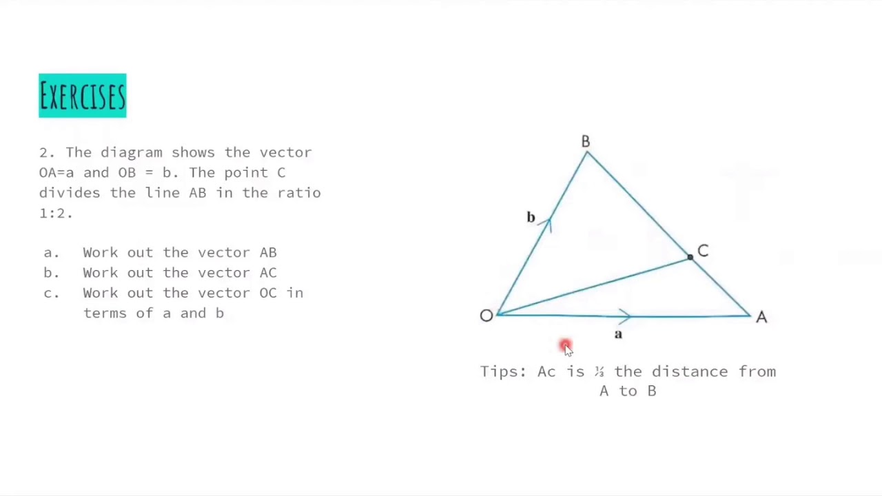 Chapter 29 IGCSE Maths: Vectors - YouTube