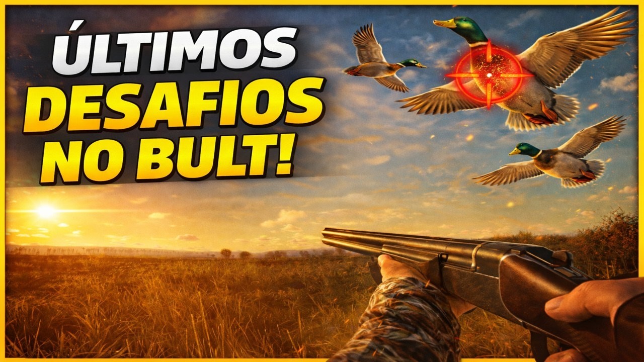 🔴 AO VIVO | Últimos desafios do Bult! Vamos fechar tudo hoje?
