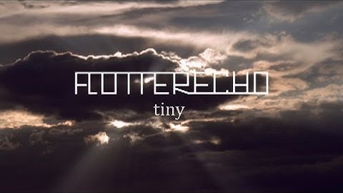 Flutter Echo - tiny - (Official Video)