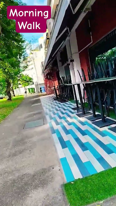morning walk#morning #walking #exercise #shorts #youtubeshorts #viralvideo #trending